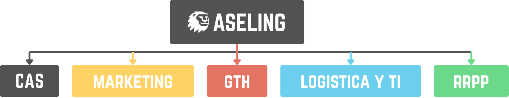 Esquema organizacional